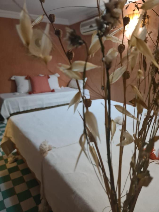 Riad Casa Sophia Marakéš Exteriér fotografie